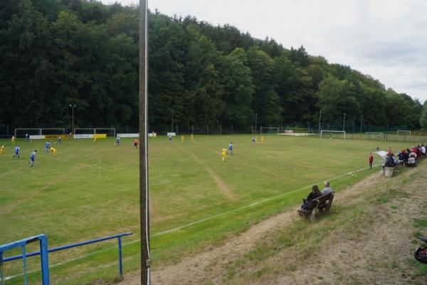 Sportplatz an der Lindenallee - Wildenfels