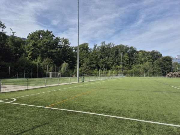 Sportplatz Tiergarten Platz 3 - Mels