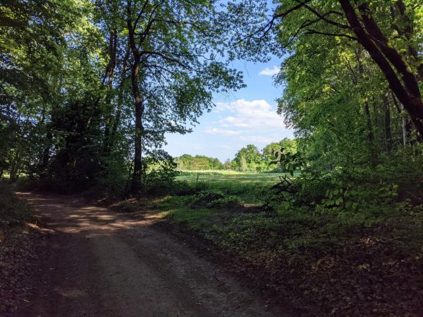Sportplatz am Eisenberger Wald - Wattenheim/Pfalz