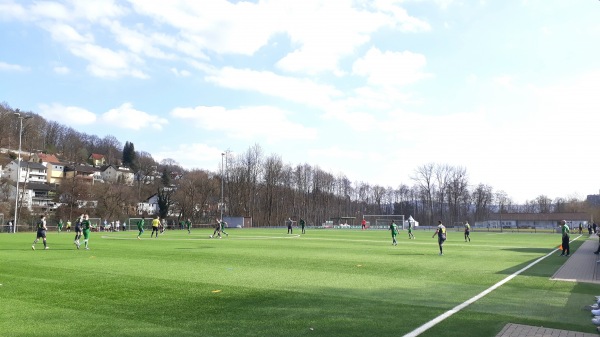 Sportanlage Bornwiese Platz 2 - Bad Soden-Salmünster