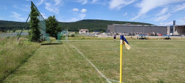 Sportplatz Bisonstraße - Springe