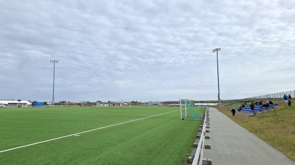 Nettóhöllin Gervigras - Njarðvík