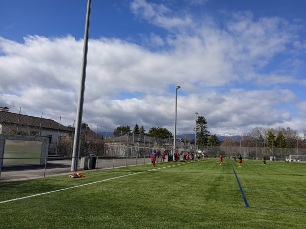 Stade des Fraisiers terrain B - Grand-Lancy