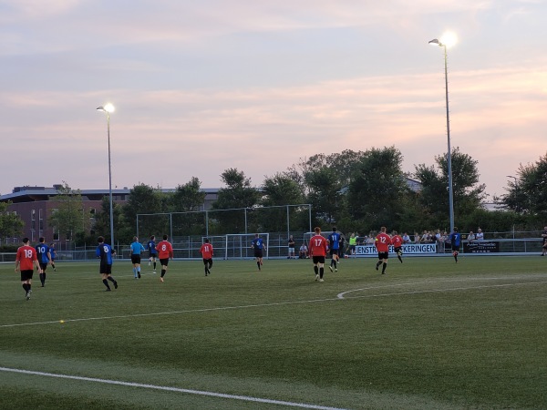 Sportpark Vierkantsdijk veld 2 - Harlingen