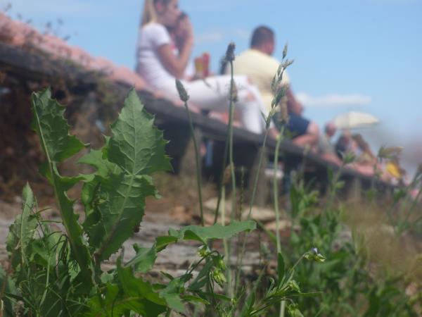 Boisko w Jeleninie - Jelenin