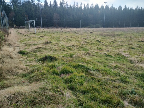 Waldsportplatz 2 - Auerbach/Vogtland-Beerheide