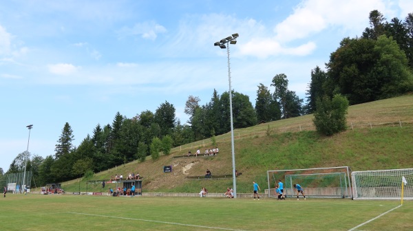 Waldstadion - Langenegg-Lingenau