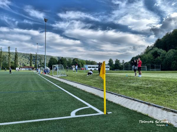 Sportanlage Donauwiesen Platz 2 - Tuttlingen-Möhringen