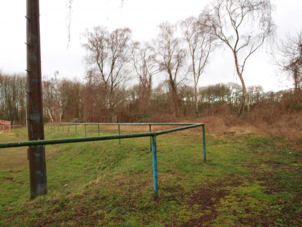 Bezirkssportanlage Ahrstraße I / Vogelwiese Platz 2 - Duisburg-Laar