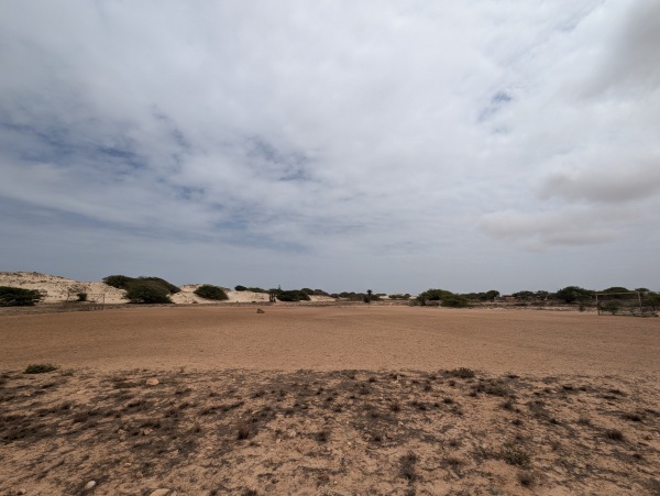 Campo do Bofarreira areia - Bofarreira