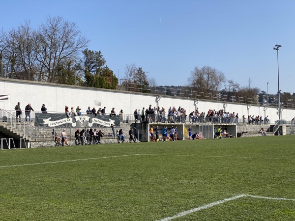 Sportanlage Lengg - Zürich