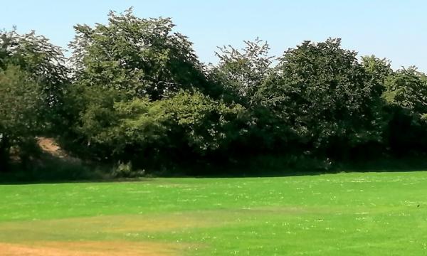 Sportanlage Ammerländer Straße - Wardenburg-Achternmeer
