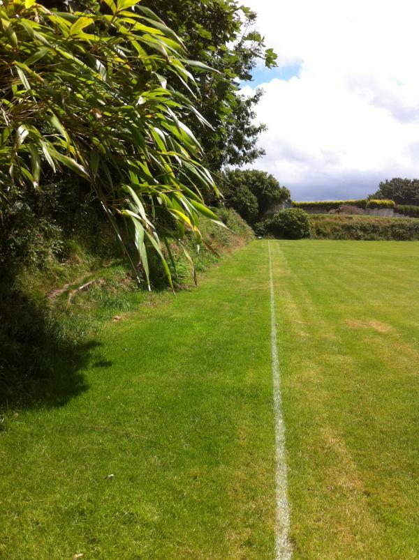 Victoria Bottoms Playing Field - Nanpean, Cornwall