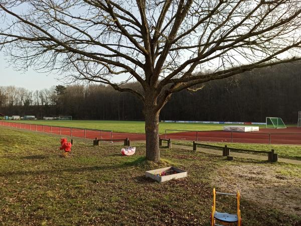 Schloßstadion - Gondelsheim