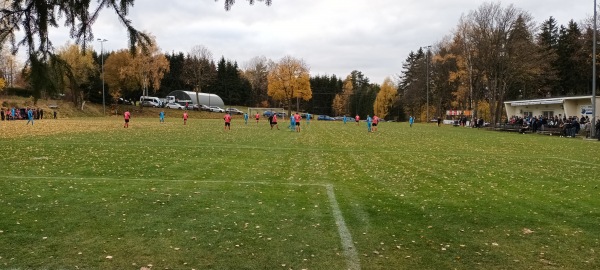 Sportplatz an der Beerheiderstraße - Auerbach/Vogtland-Rempesgrün