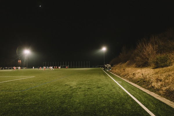 Kräuter Mix Arena Nebenplatz - Abtswind
