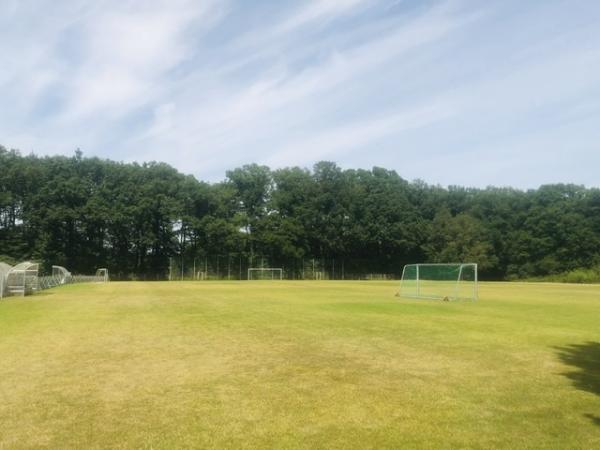 Sportzentrum Große Wiese Platz 2 - Münster/Westfalen-Kinderhaus