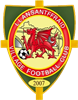 Wappen Llansantffraid Village FC