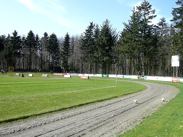 DS Arena - Hobro