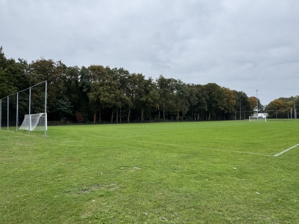 Sportpark Wesselerbrink Midden veld A - Enschede