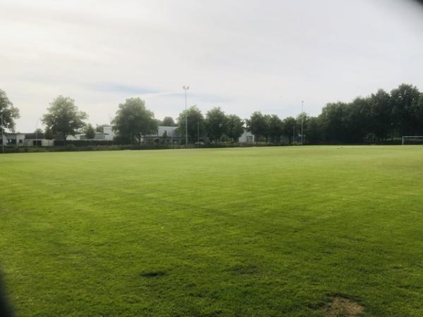 TEAMSEAT Stadion Lange Water II - Emsdetten-Westum