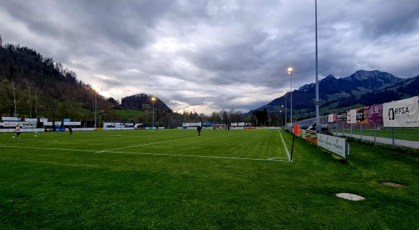 Stade des Auges - Grandvillard