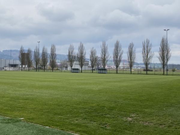 Sportzentrum Niedermatten Nebenplatz 2 - Wohlen