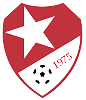 Wappen Dingley Stars FC  9482