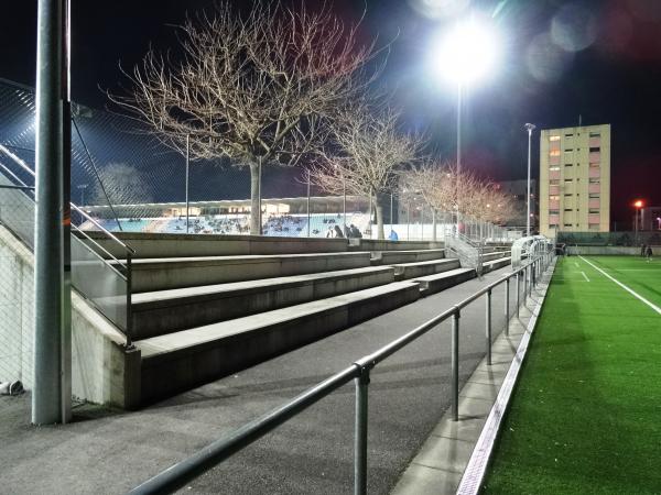 Stade de la Fontenette terrain B - Carouge GE