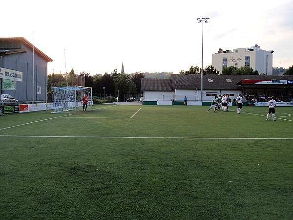 Zaunergroup Arena - Wallern an der Trattnach