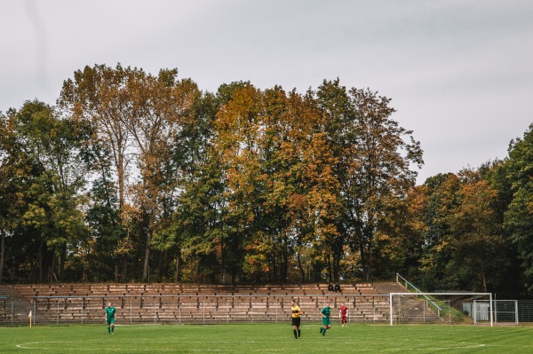 Skatbank-Arena - Altenburg/Thüringen