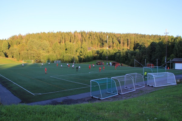 Kurlandsparken - Løvenstad