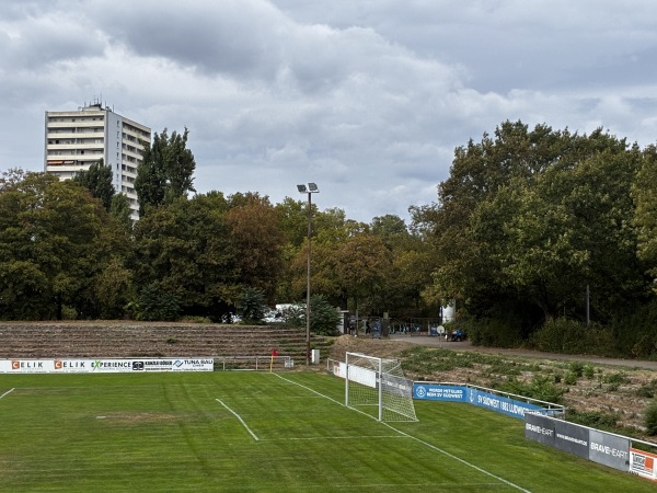 Stadion Mundenheimer Straße - Ludwigshafen/Rhein