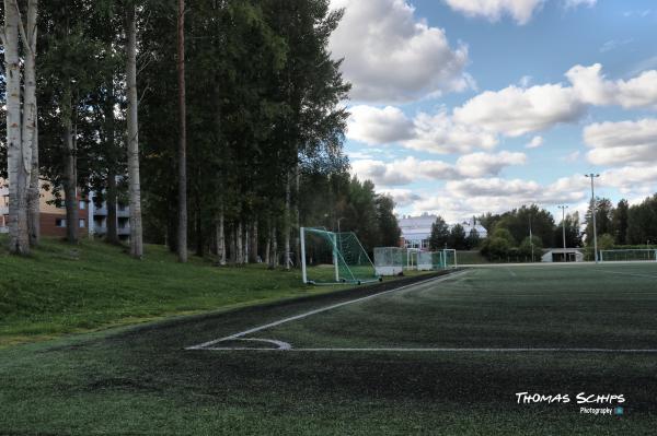Susivouti 2 tekonurmi - Rovaniemi