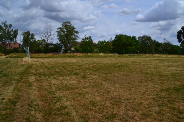 Sportplatz In den Niederwiesen - Mettenheim/Rheinhessen