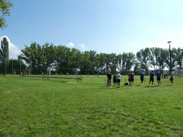 Sportanlage Buschmühlenweg Platz 2 - Frankfurt/Oder-Gubener Vorstadt
