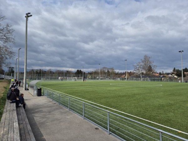 Stade des Fraisiers - Grand-Lancy