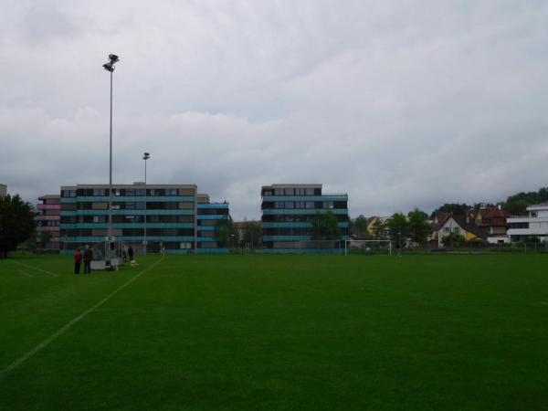 Sportplatz Talwiesen - Winterthur
