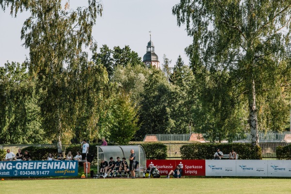 Werner-Seelenbinder-Stadion - Frohburg