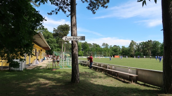Waldstadion Großengersdorf - Großengersdorf