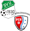 Wappen SG Steina-Schlüchttal - Frauen (Ground A)