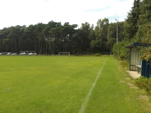 Hänsch-Arena D-Platz - Meppen