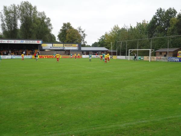 Stadion Het Breeven - Bornem