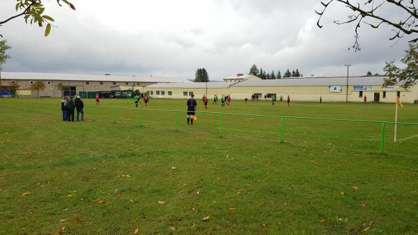 Sportplatz An der Technik - Witzleben/Thüringen