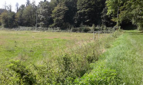 Stadion Zur Sonnenblume Nebenplatz - Velbert