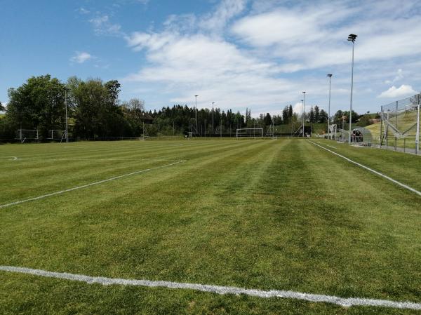 Sportplatz Lienisberg - Walchwil