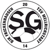 Wappen SG Mellrichstadt/Frickenhausen II (Ground B)  66740