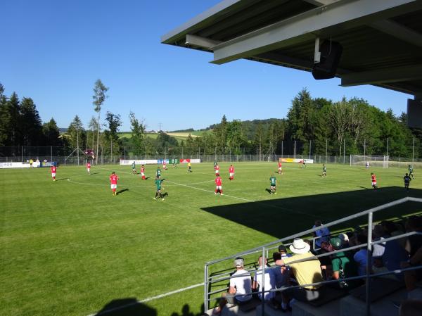 Tischlerei Grömmer Stadion - Sankt Roman