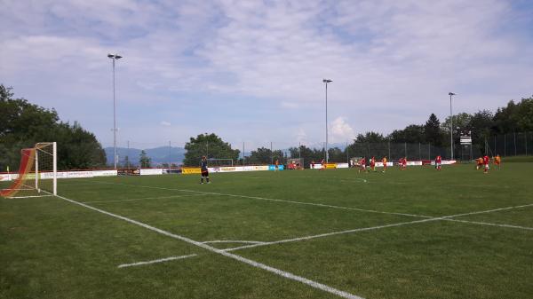 Sportplatz Chalchbüel - Richterswil