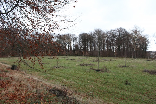 Sportpark De Voort veld 2 - Landgraaf
